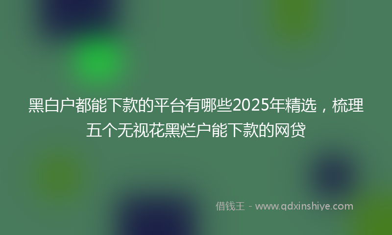 黑白户都能下款的平台有哪些2025年精选，梳理五个无视花黑烂户能下款的网贷