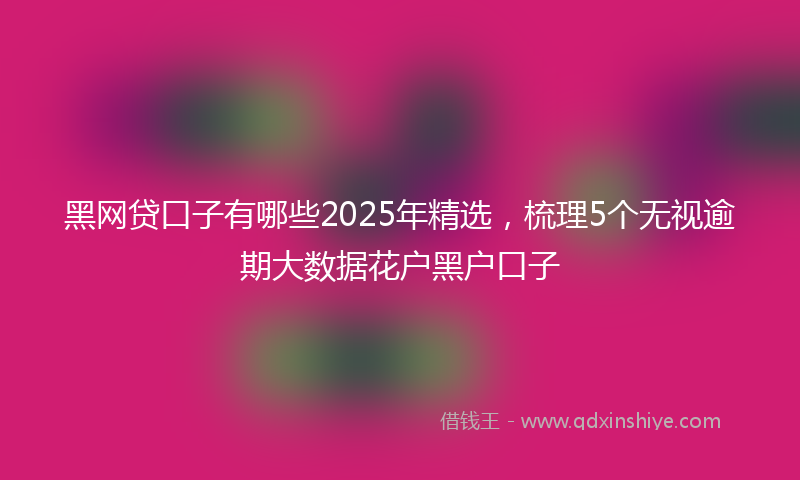 黑网贷口子有哪些2025年精选，梳理5个无视逾期大数据花户黑户口子