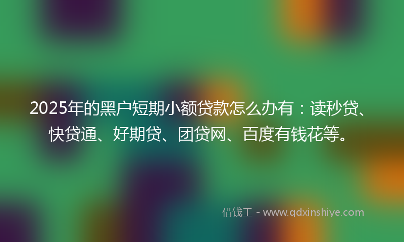 2025年的黑户短期小额贷款怎么办有：读秒贷、快贷通、好期贷、团贷网、百度有钱花等。