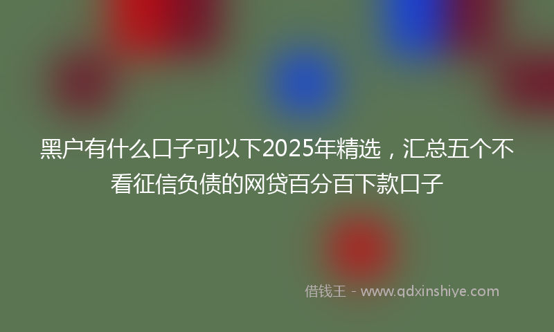 黑户有什么口子可以下2025年精选，汇总五个不看征信负债的网贷百分百下款口子
