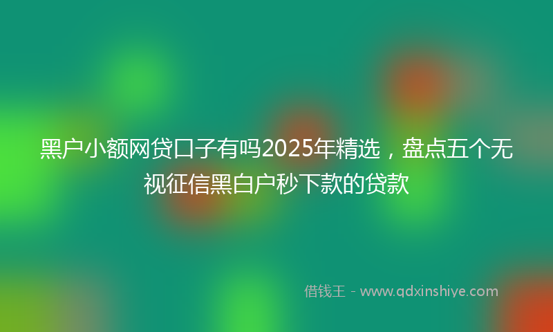 黑户小额网贷口子有吗2025年精选，盘点五个无视征信黑白户秒下款的贷款
