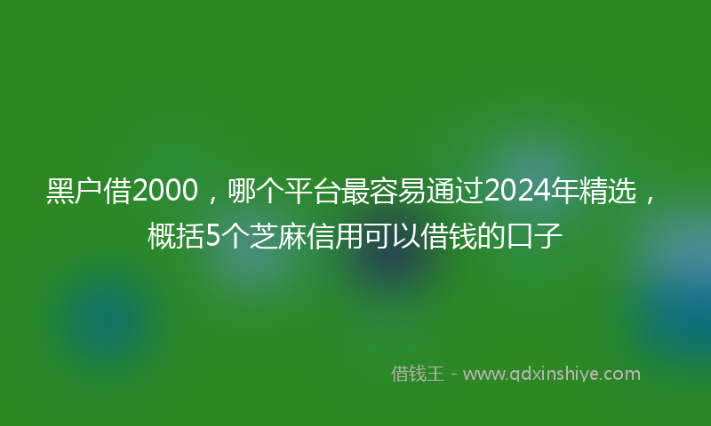 黑户借2000，哪个平台最容易通过2024年精选，概括5个芝麻信用可以借钱的口子