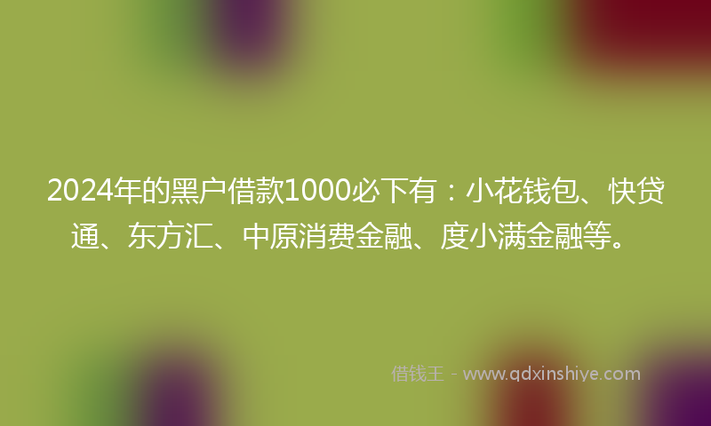 2024年的黑户借款1000必下有：小花钱包、快贷通、东方汇、中原消费金融、度小满金融等。