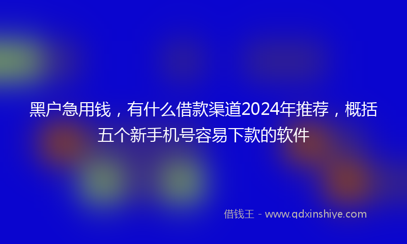 黑户急用钱,有什么借款渠道2024年推荐,概括五个新手机号容易下款的软件