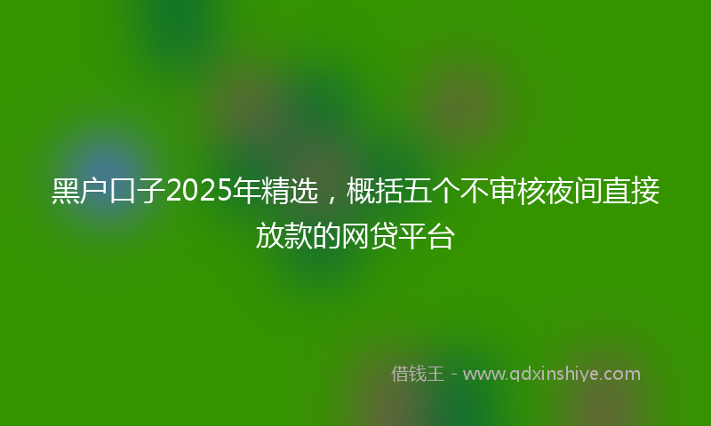 黑户口子2025年精选，概括五个不审核夜间直接放款的网贷平台