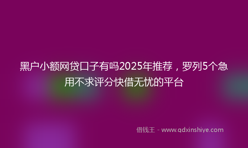 黑户小额网贷口子有吗2025年推荐，罗列5个急用不求评分快借无忧的平台