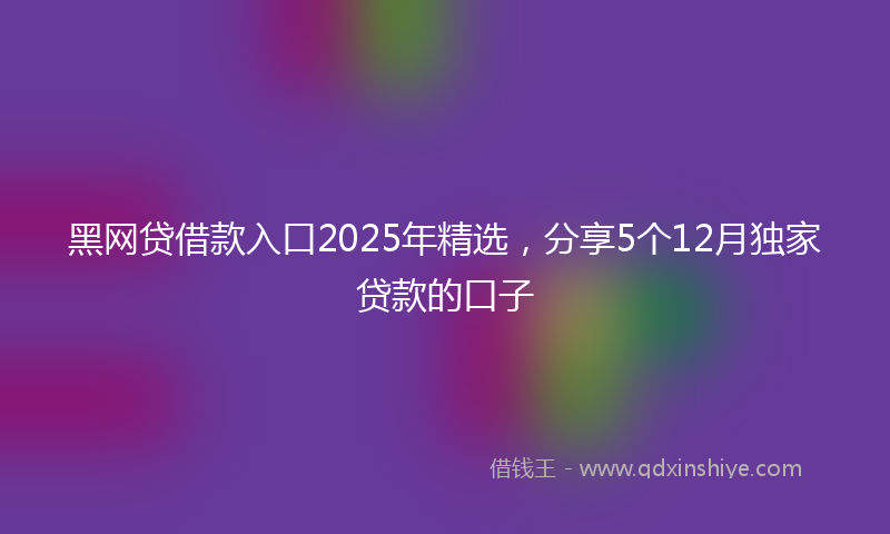 黑网贷借款入口2025年精选，分享5个12月独家贷款的口子