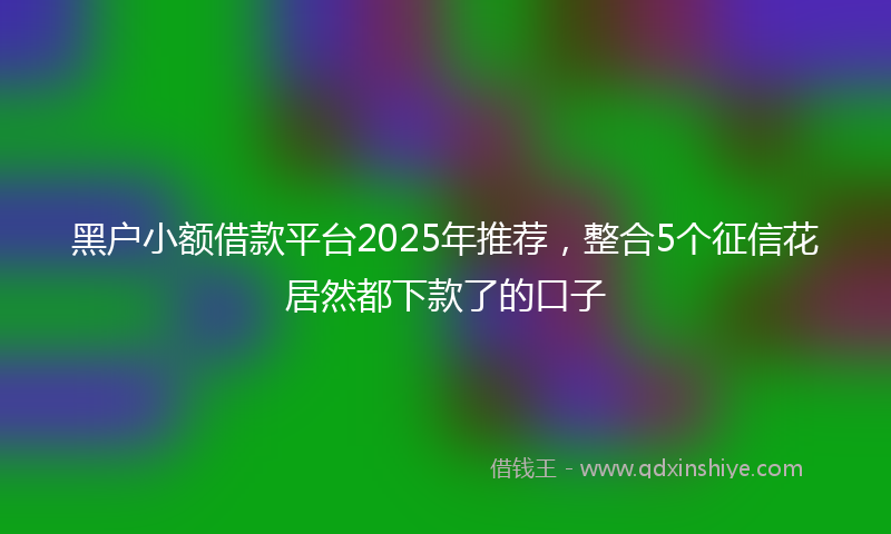 黑户小额借款平台2025年推荐，整合5个征信花居然都下款了的口子