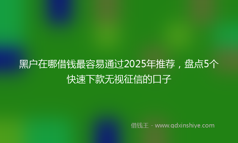 黑户在哪借钱最容易通过2025年推荐，盘点5个快速下款无视征信的口子