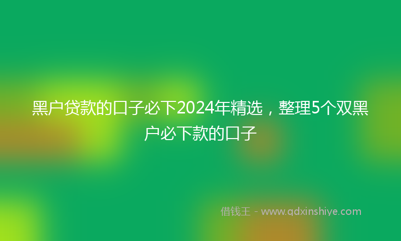 黑户贷款的口子必下2024年精选，整理5个双黑户必下款的口子