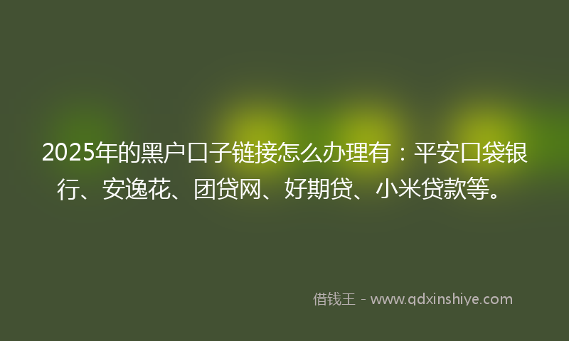 2025年的黑户口子链接怎么办理有：平安口袋银行、安逸花、团贷网、好期贷、小米贷款等。