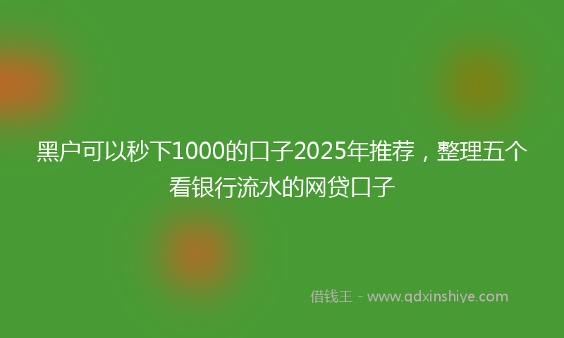 黑户可以秒下1000的口子2025年推荐，整理五个看银行流水的网贷口子