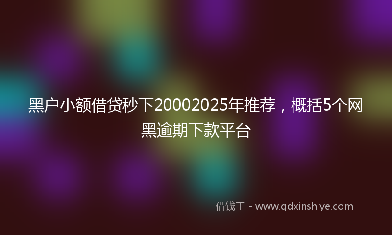 黑户小额借贷秒下20002025年推荐，概括5个网黑逾期下款平台