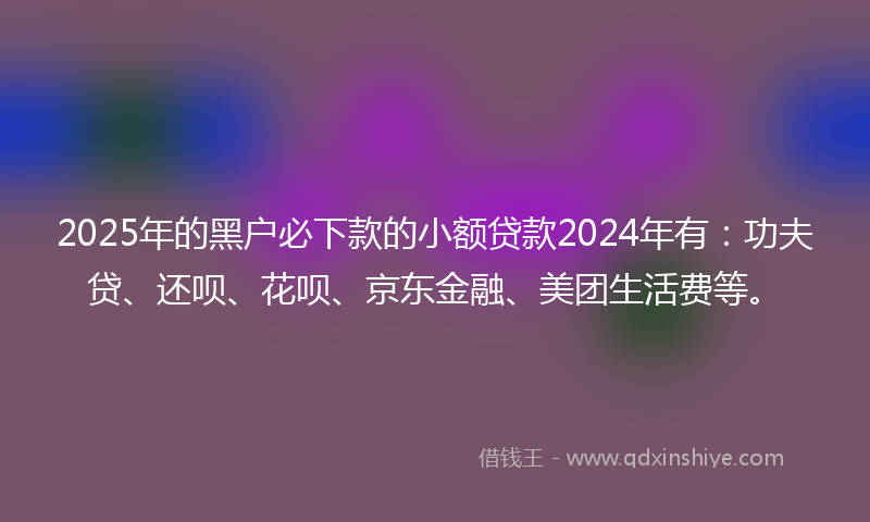 2025年的黑户必下款的小额贷款2024年有：功夫贷、还呗、花呗、京东金融、美团生活费等。