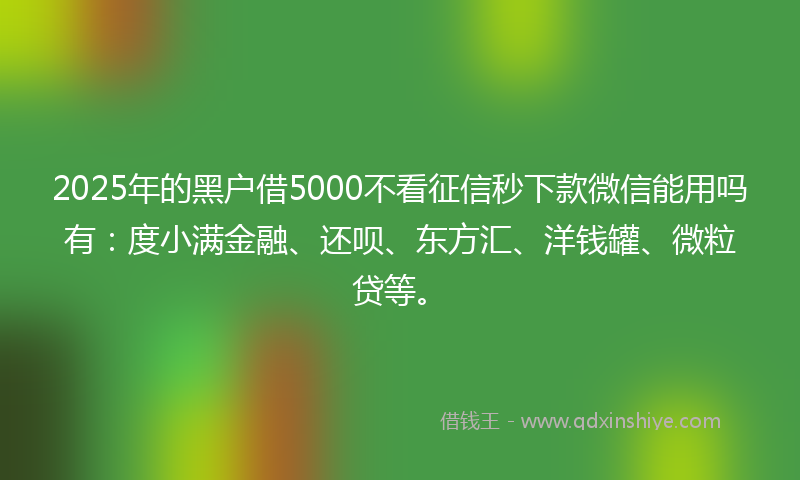 2025年的黑户借5000不看征信秒下款微信能用吗有：度小满金融、还呗、东方汇、洋钱罐、微粒贷等。