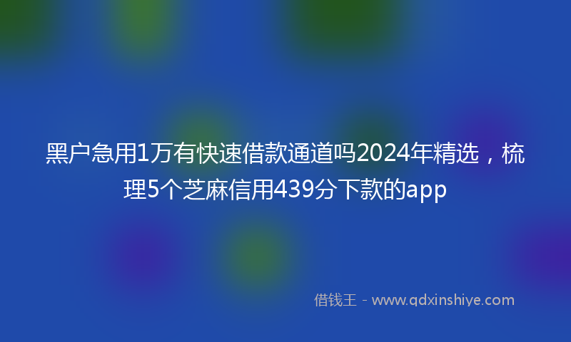 黑户急用1万有快速借款通道吗2024年精选，梳理5个芝麻信用439分下款的app