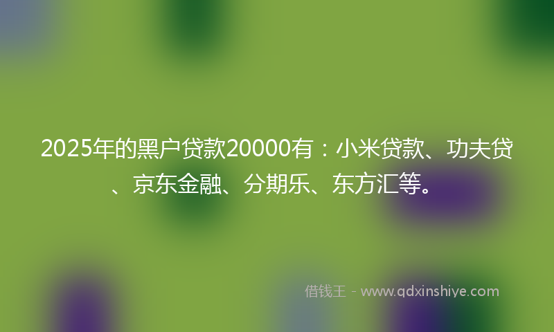 2025年的黑户贷款20000有：小米贷款、功夫贷、京东金融、分期乐、东方汇等。