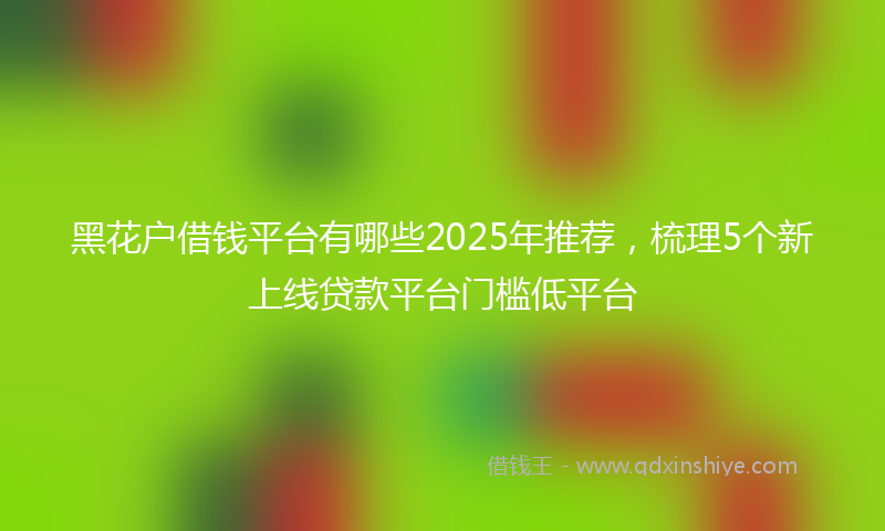 黑花户借钱平台有哪些2025年推荐，梳理5个新上线贷款平台门槛低平台