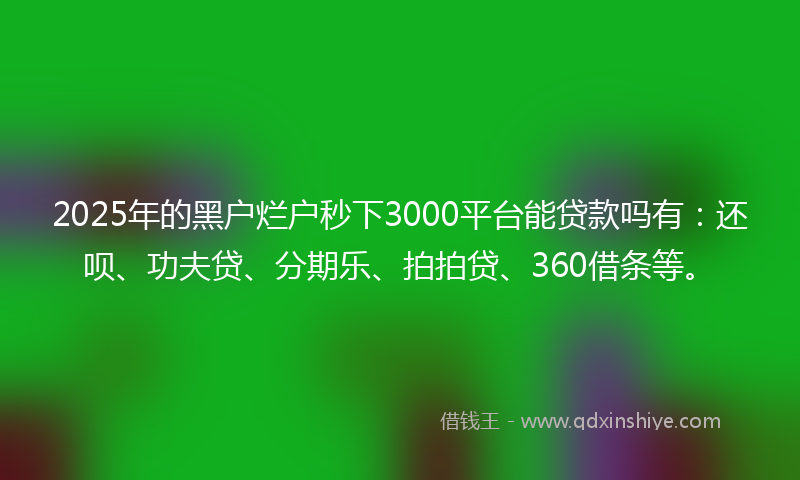 2025年的黑户烂户秒下3000平台能贷款吗有：还呗、功夫贷、分期乐、拍拍贷、360借条等。