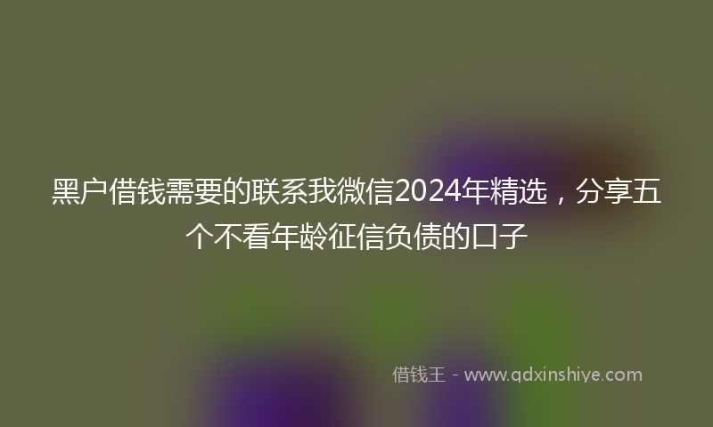 黑户借钱需要的联系我微信2024年精选，分享五个不看年龄征信负债的口子