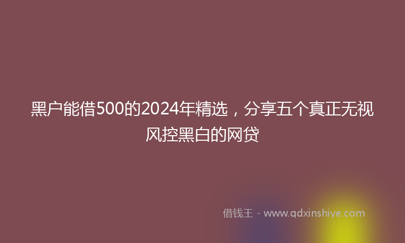 黑户能借500的2024年精选，分享五个真正无视风控黑白的网贷