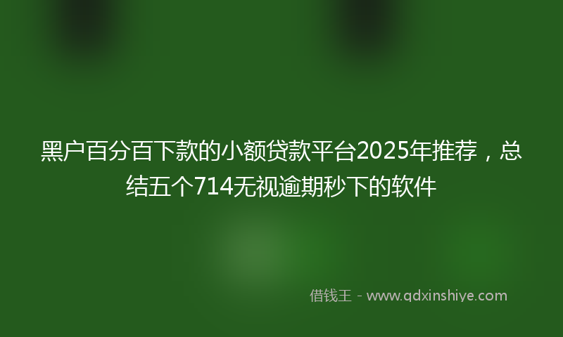 黑户百分百下款的小额贷款平台2025年推荐，总结五个714无视逾期秒下的软件