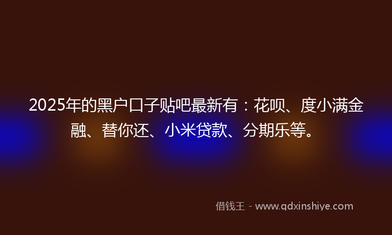 2025年的黑户口子贴吧最新有：花呗、度小满金融、替你还、小米贷款、分期乐等。