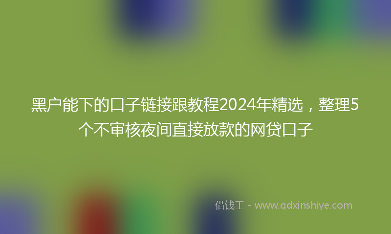 黑户能下的口子链接跟教程2024年精选，整理5个不审核夜间直接放款的网贷口子