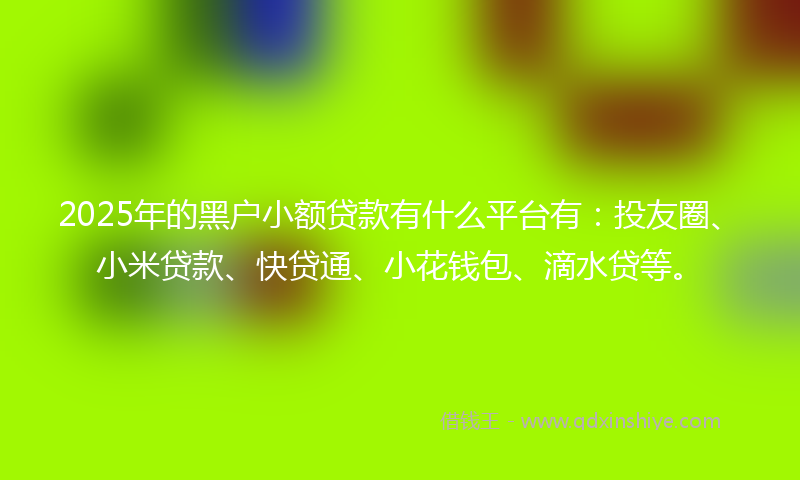 2025年的黑户小额贷款有什么平台有：投友圈、小米贷款、快贷通、小花钱包、滴水贷等。