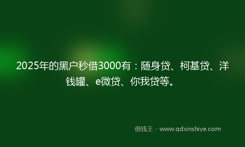 2025年的黑户秒借3000有：随身贷、柯基贷、洋钱罐、e微贷、你我贷等。