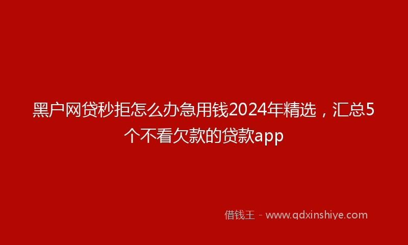 黑户网贷秒拒怎么办急用钱2024年精选，汇总5个不看欠款的贷款app