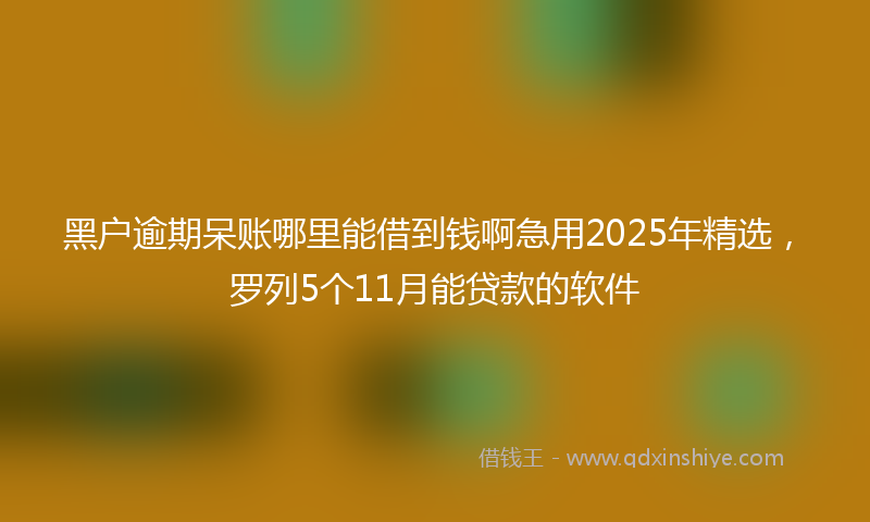 黑户逾期呆账哪里能借到钱啊急用2025年精选，罗列5个11月能贷款的软件