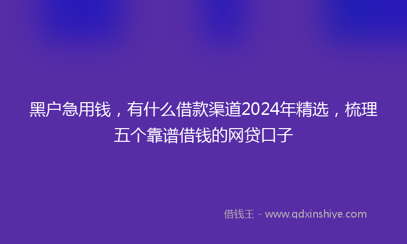 黑户急用钱，有什么借款渠道2024年精选，梳理五个靠谱借钱的网贷口子