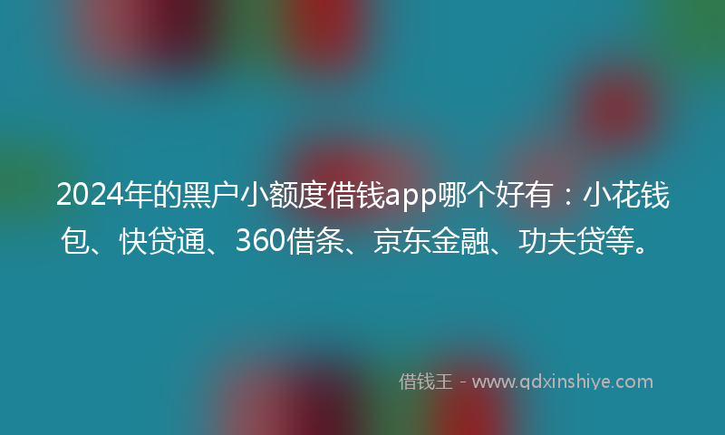 2024年的黑户小额度借钱app哪个好有：小花钱包、快贷通、360借条、京东金融、功夫贷等。