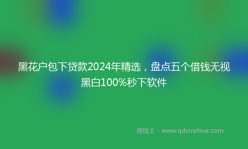 黑花户包下贷款2024年精选，盘点五个借钱无视黑白100%秒下软件