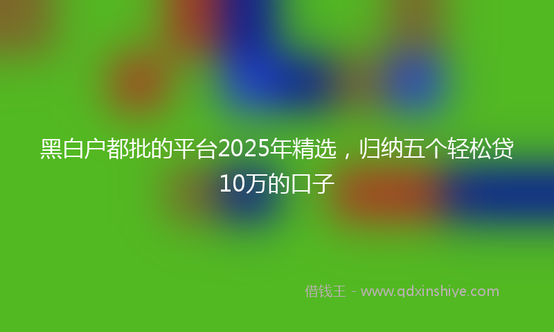 黑白户都批的平台2025年精选，归纳五个轻松贷10万的口子
