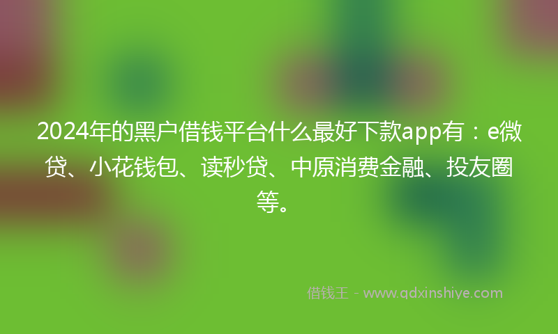 2024年的黑户借钱平台什么最好下款app有：e微贷、小花钱包、读秒贷、中原消费金融、投友圈等。
