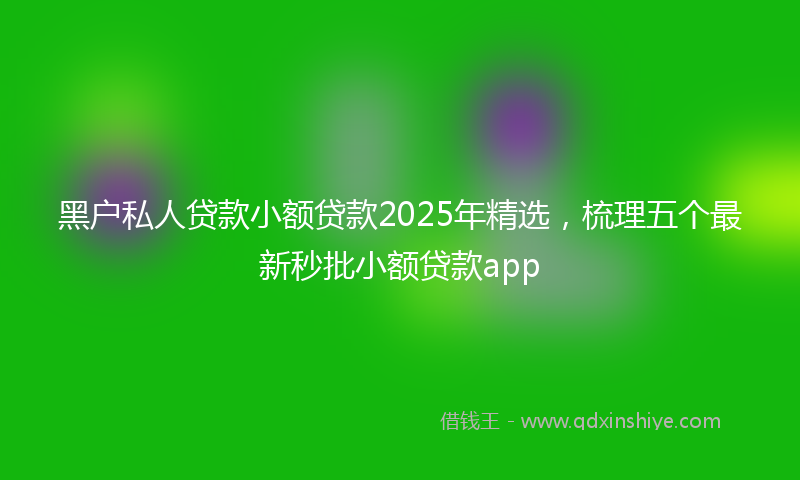 黑户私人贷款小额贷款2025年精选，梳理五个最新秒批小额贷款app
