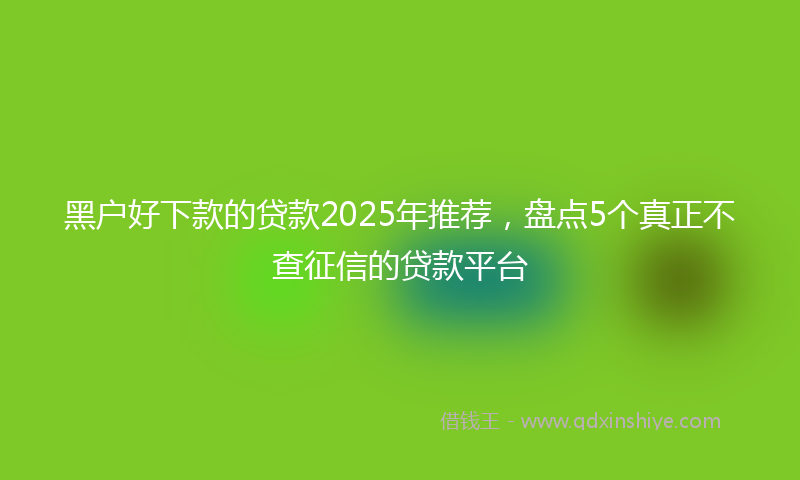 黑户好下款的贷款2025年推荐，盘点5个真正不查征信的贷款平台