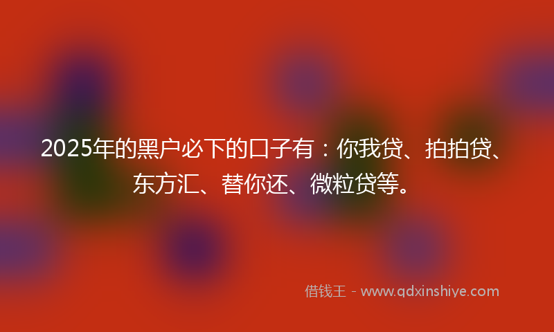 2025年的黑户必下的口子有：你我贷、拍拍贷、东方汇、替你还、微粒贷等。