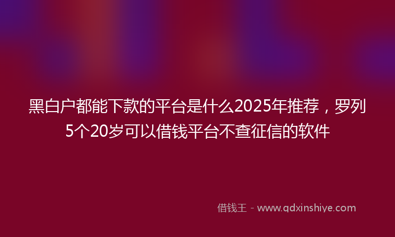 黑白户都能下款的平台是什么2025年推荐，罗列5个20岁可以借钱平台不查征信的软件