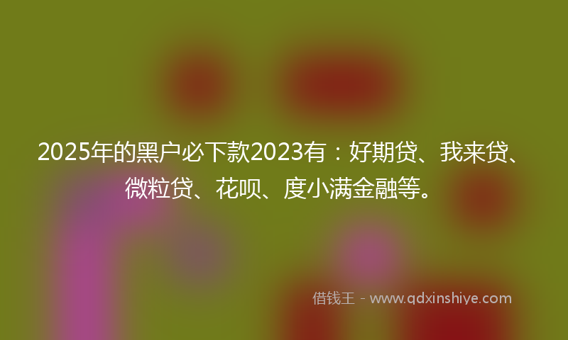 2025年的黑户必下款2023有：好期贷、我来贷、微粒贷、花呗、度小满金融等。