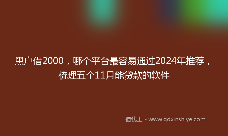 黑户借2000，哪个平台最容易通过2024年推荐，梳理五个11月能贷款的软件