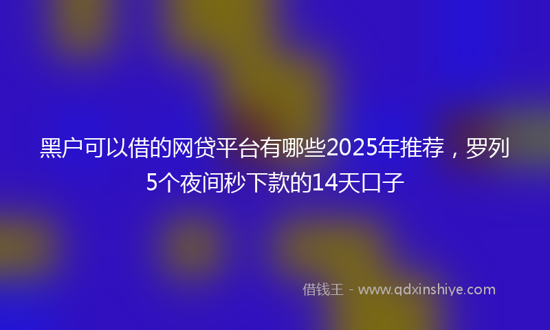 黑户可以借的网贷平台有哪些2025年推荐，罗列5个夜间秒下款的14天口子