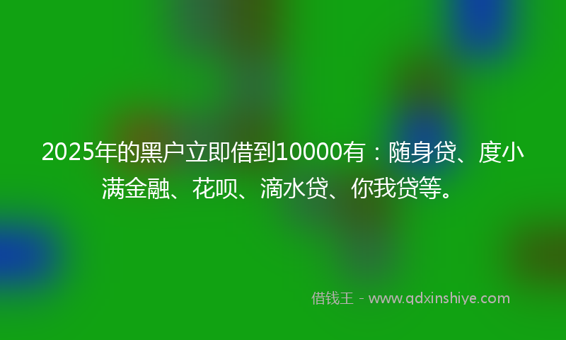 2025年的黑户立即借到10000有：随身贷、度小满金融、花呗、滴水贷、你我贷等。