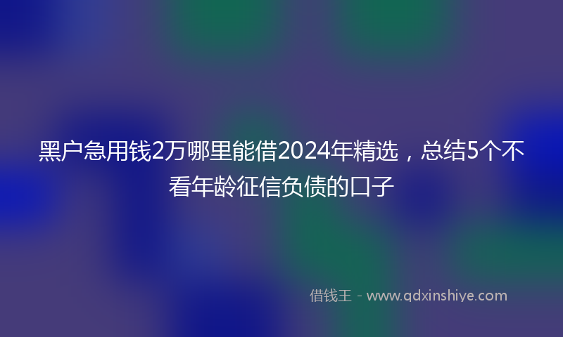 黑户急用钱2万哪里能借2024年精选，总结5个不看年龄征信负债的口子
