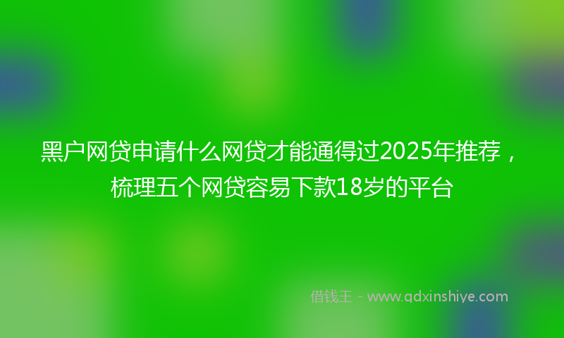 黑户网贷申请什么网贷才能通得过2025年推荐，梳理五个网贷容易下款18岁的平台