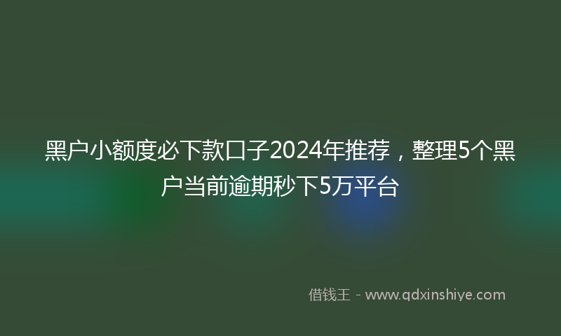黑户小额度必下款口子2024年推荐，整理5个黑户当前逾期秒下5万平台