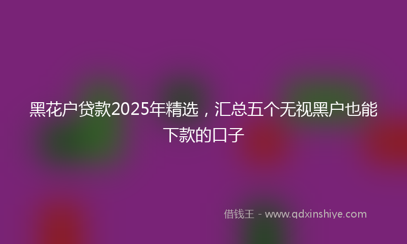 黑花户贷款2025年精选，汇总五个无视黑户也能下款的口子