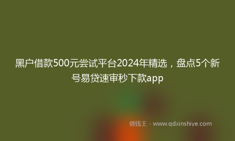 黑户借款500元尝试平台2024年精选，盘点5个新号易贷速审秒下款app